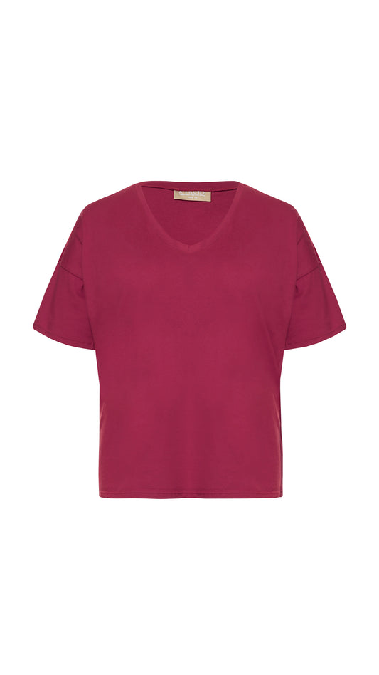 Camiseta Basica Cuello en V 2